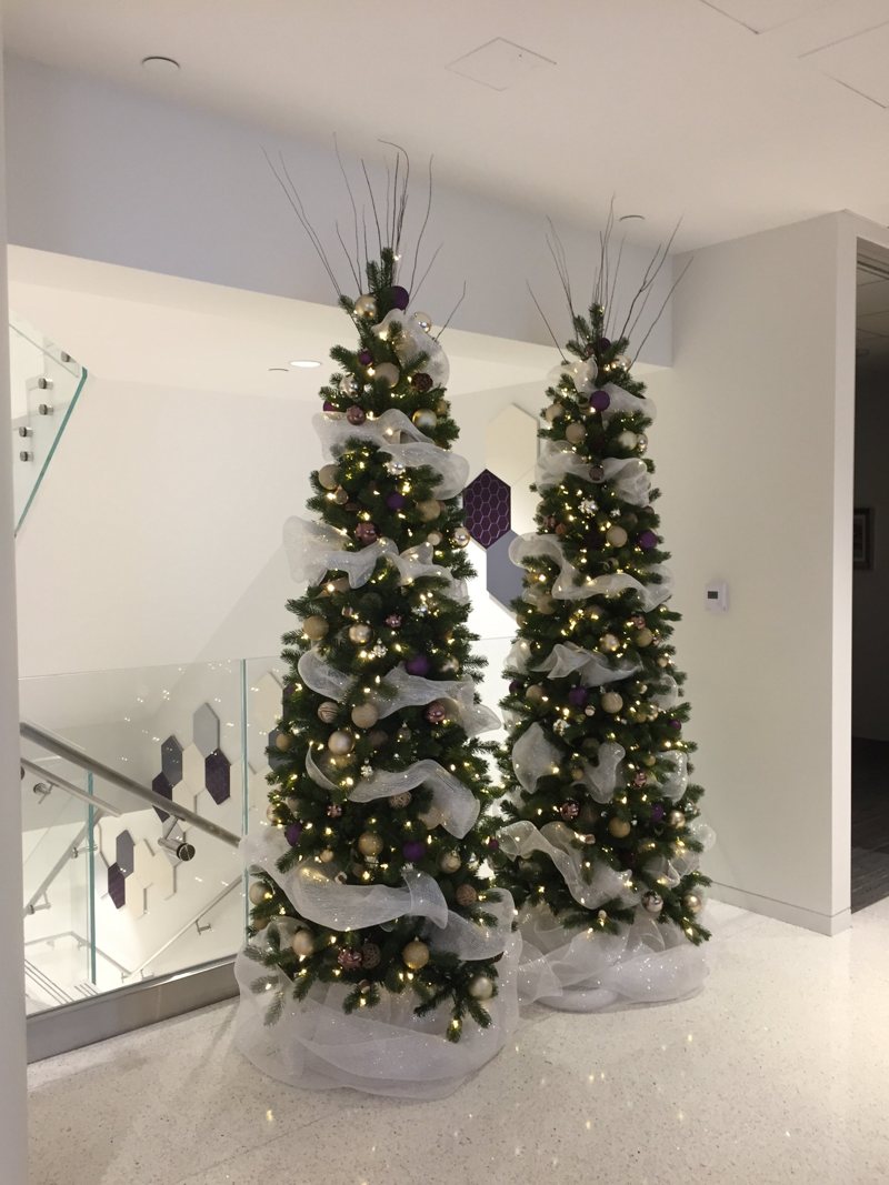 Pair of slim Christmas trees with white ribbon, gold and purple baubles beside a glass staircase
