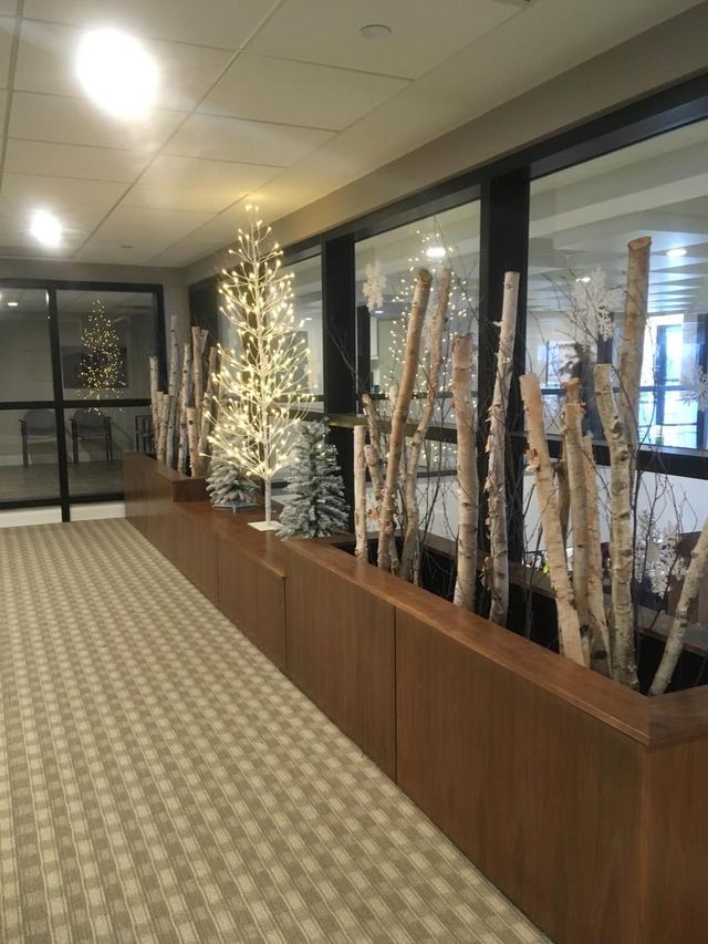 Birch branches and a lit tree in a long lobby planter