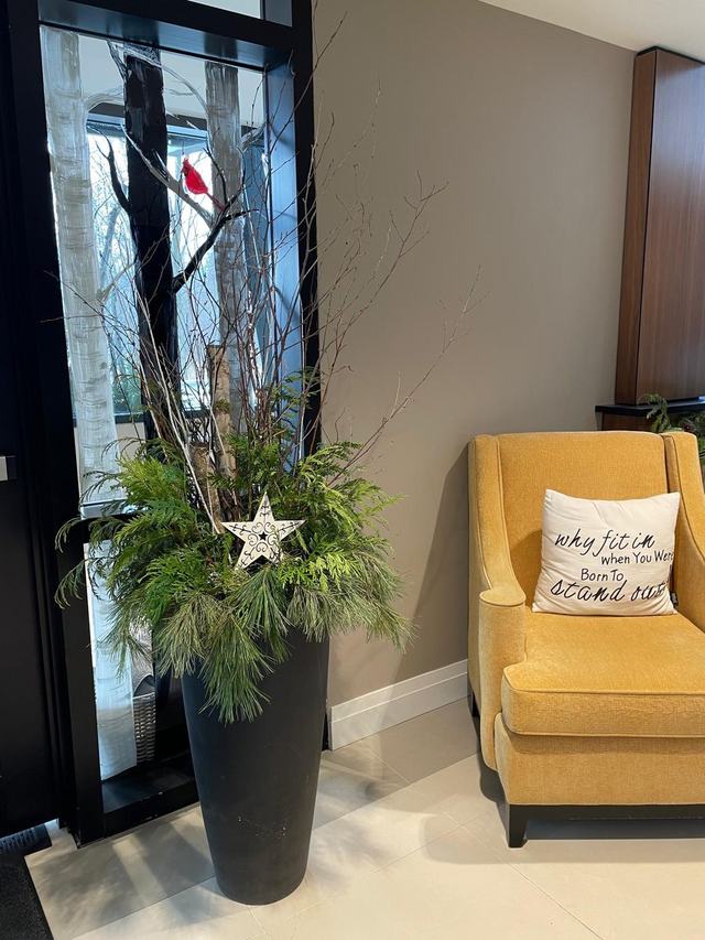 Winter planter with a white star and birch branches beside an armchair