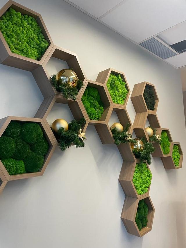 Hexagon moss wall display with gold baubles and greenery