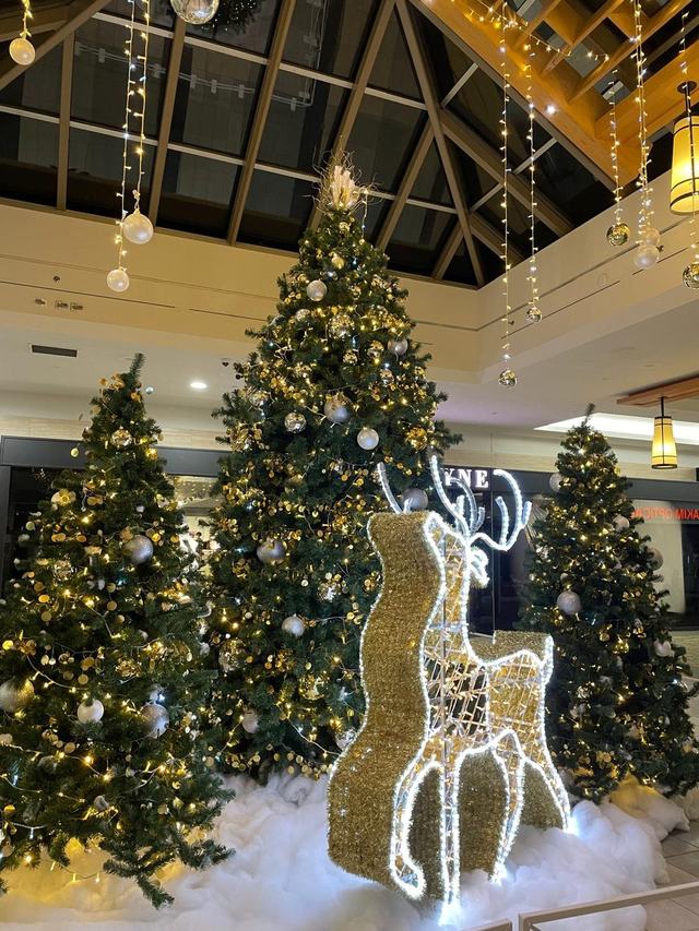 Illuminated gold reindeer and Christmas trees in an atrium display