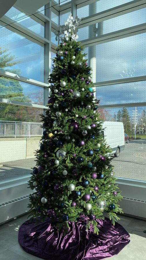 Tall dark green Christmas tree with a purple velvet skirt beside large windows