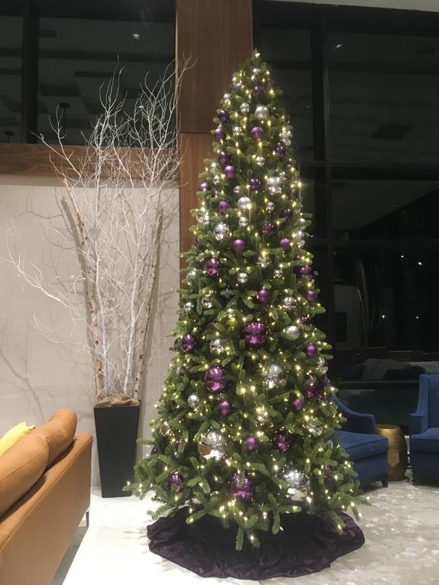 Pencil Christmas tree with purple baubles and white lights beside birch branches in a lobby