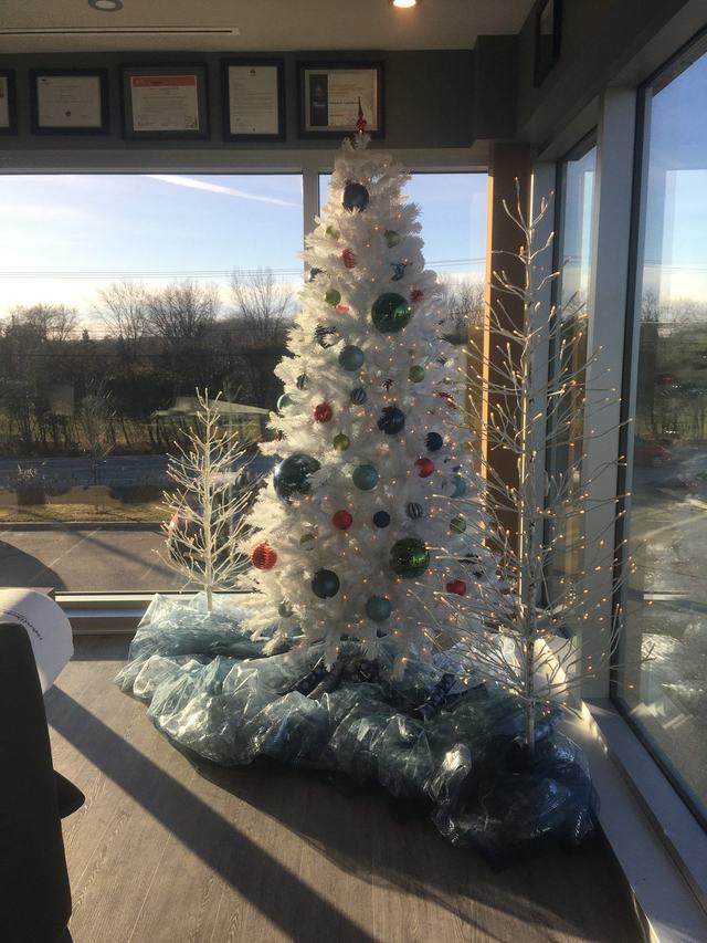White Christmas tree with blue and silver baubles beside a sunny window