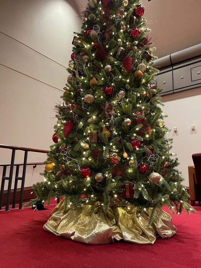 Large Christmas tree with red and gold decorations and a gold tree skirt on a red carpet