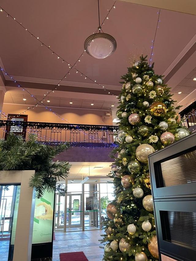 Tall Christmas tree with gold and champagne baubles under string lights