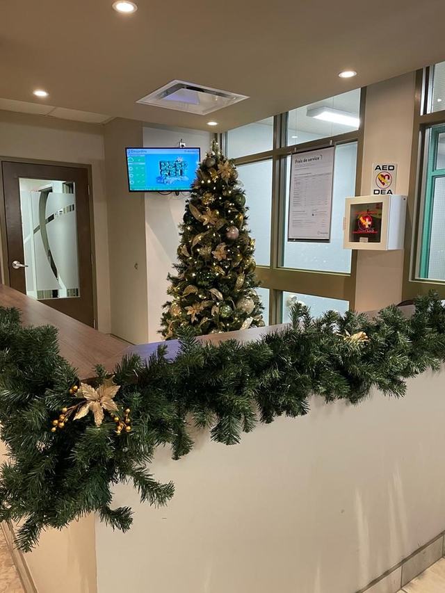Christmas tree and gold-accented garland along a reception counter