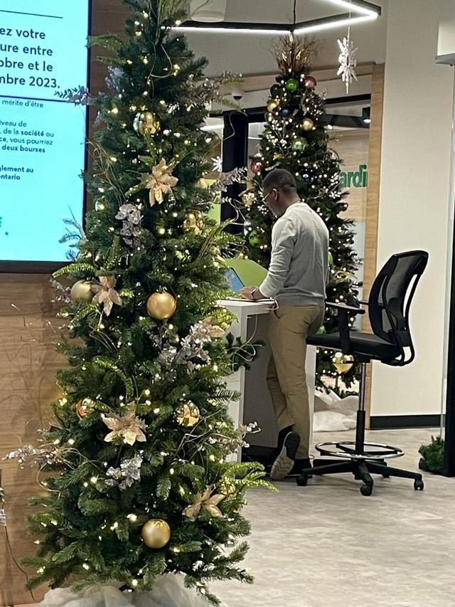 Gold and cream Christmas tree with warm white lights in a corporate foyer